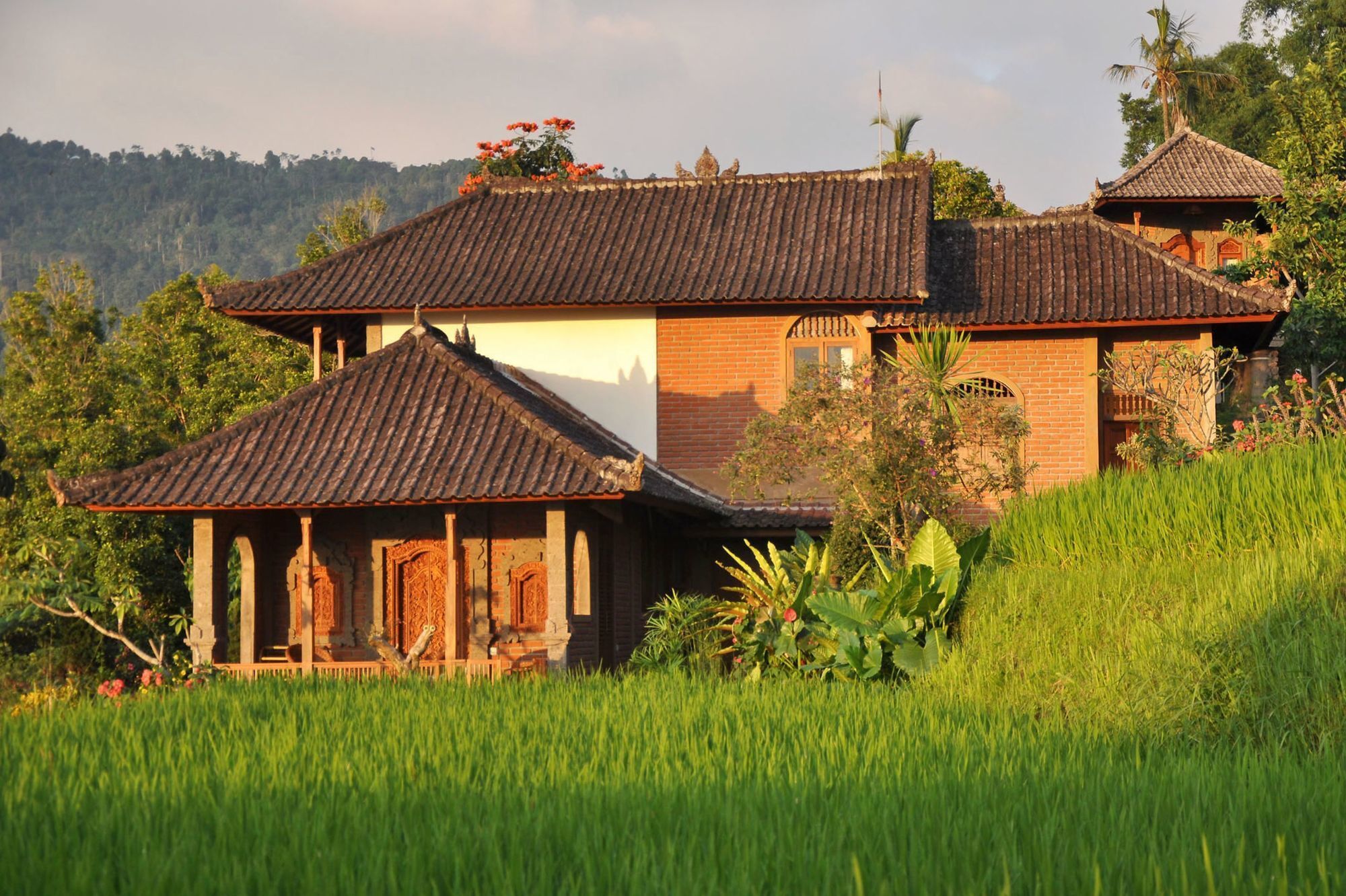 Puri Lumbung Cottages Gobleg  Extérieur photo