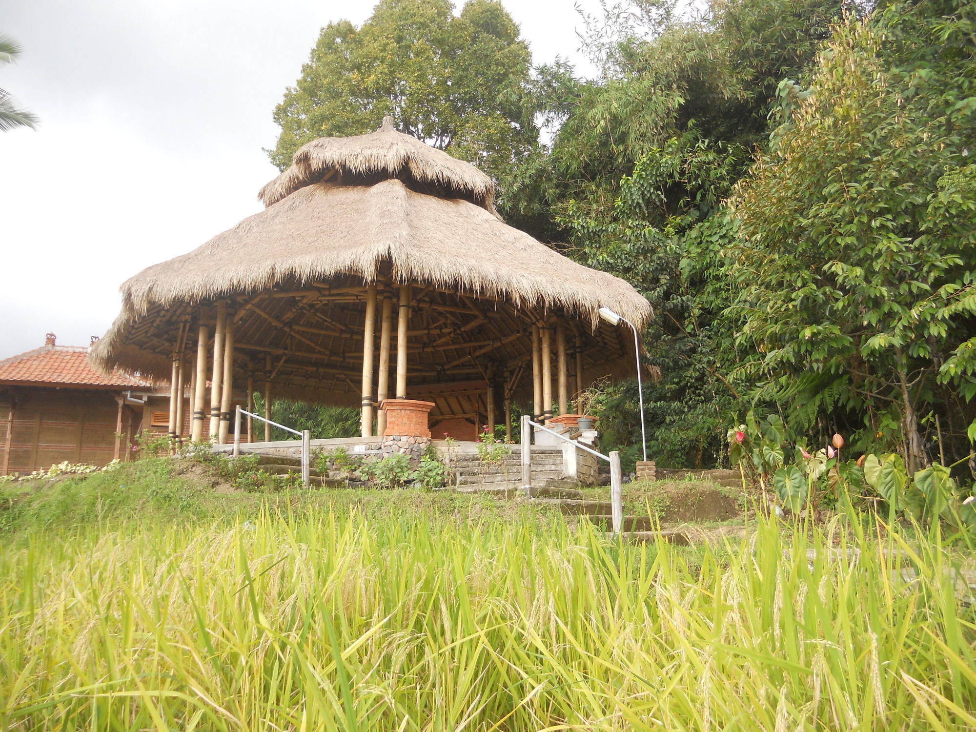 Puri Lumbung Cottages Gobleg  Extérieur photo